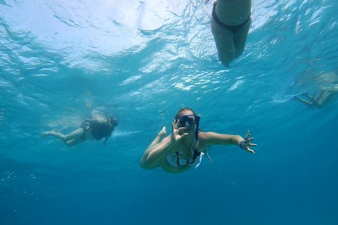 Full-day Dolphin House And Swim With Dolphin - Dolphin House Expectations: Close Encounters Are Wild, Not Scheduled