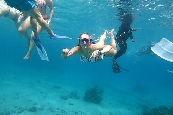 Full-day Dolphin House And Swim With Dolphin - Wind, Sea Sickness, and Safety: How to Prepare Like a Pro