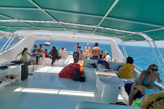 Full-Day Experience with Dolphins and Snorkeling in Red Sea - Dolphin house in Red Sea waters: how the dolphin part works