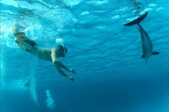 Full-Day Experience with Dolphins and Snorkeling in Red Sea - Water games after snorkeling: sofa and banana fun