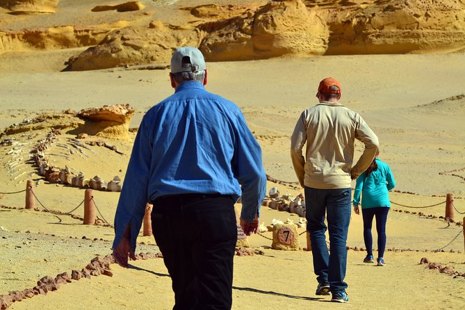 Full-Day Fayoum Oasis Private Tour from Cairo or Giza - Key things to know before you go