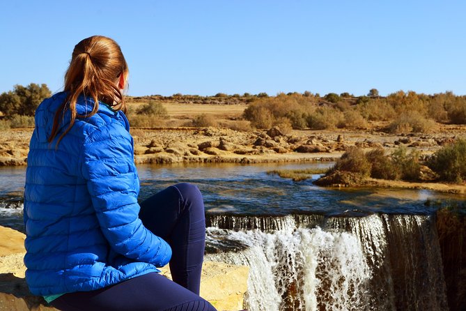 Full-Day Fayoum Oasis Private Tour from Cairo or Giza - Guides and pace: why the experience feels smooth