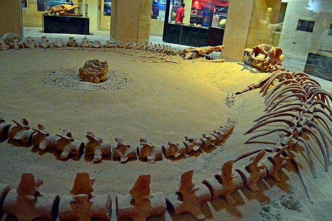 Full-Day Fayoum Oasis Private Tour from Cairo or Giza - Who should book this Fayoum Oasis private tour?