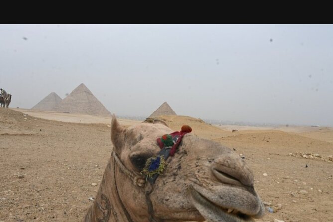 Full day Giza pyramids ,camel ride, Mummies museum and bazar - Camel Ride and Optional Pyramid Entry: Fun, But Know the Trade-offs