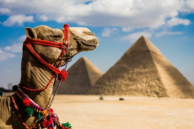 Full-Day Giza Pyramids Sphinx Sakkara Private Tour with Pickup - Saqqara and Memphis necropolis: the Step Pyramid of Djoser