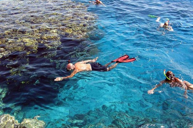Full Day Marsa Mubarak Snorkeling Sea Trip & Lunch With Transfer – Marsa Alam - Crew and Guide Attitude: Small Group = Better Attention