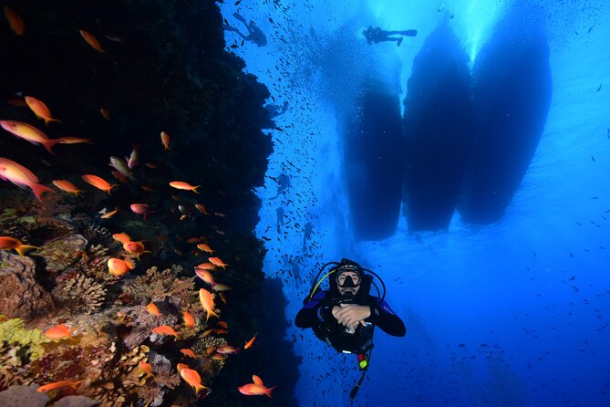 Full Day on Boat with 2 Dives in the Marine Parks of Sharm - Key Highlights You’ll Care About