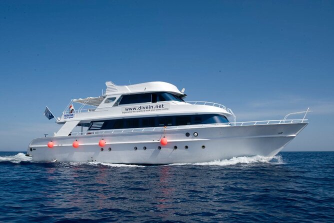 Full Day on Boat with 2 Dives in the Marine Parks of Sharm - The Full-Day Plan: Two Underwater Sessions Without Chaos