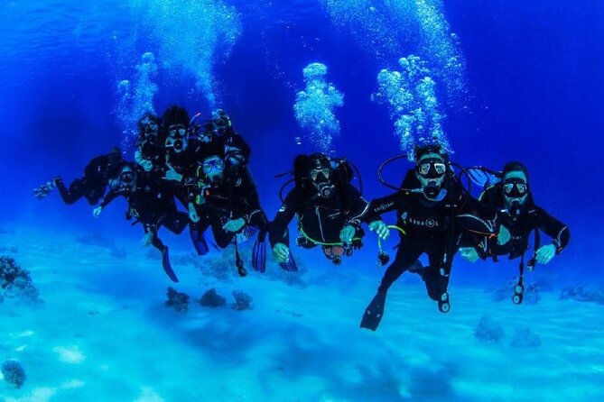Full Day on Boat with 2 Dives in the Marine Parks of Sharm - Meeting at Renaissance Golden View and the Pickup Advantage