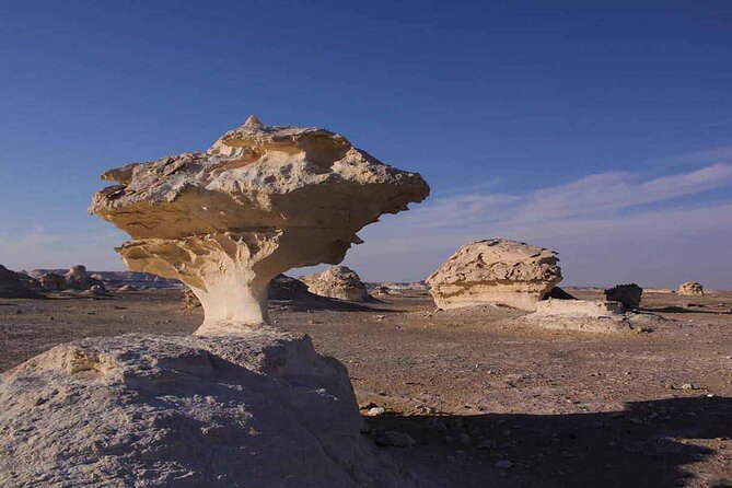 Full Day Private Bahariya Oasis and White Desert Tour from Cairo - White Desert National Park: chalk formations and the Al Haiz tent night
