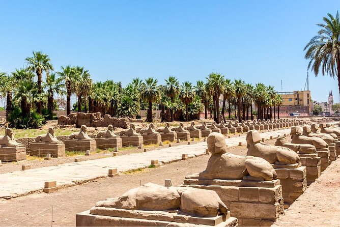 Full-day Private Guided Tour of East and West Bank in Luxor - Karnak Temple Complex: the huge one that rewards time