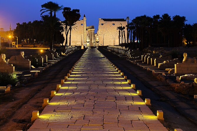 Full Day Private Tour to East and West Banks of Luxor - Guide quality is the real upgrade here