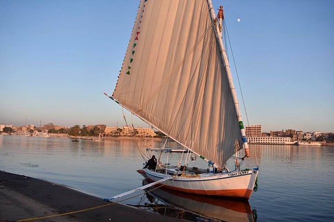 Full-Day Private Tour to Luxor from Hurghada with Lunch - Your private Egyptologist guide: how it changes the Valley and temple stops