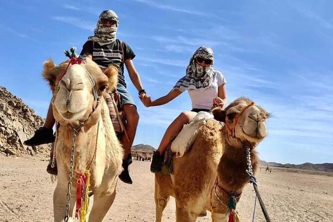 Full-Day Safari Adventure in Hurghada with Pick Up and Dinner - From Hurghada pickup to the desert road: what actually drives this tour