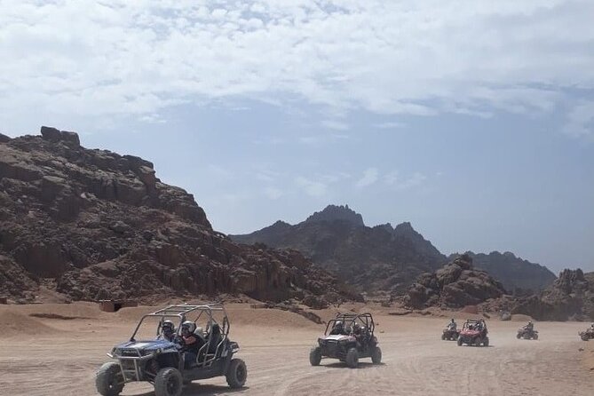 Full-Day Safari Adventure in Hurghada with Pick Up and Dinner - Who this safari is best for (and who should think twice)