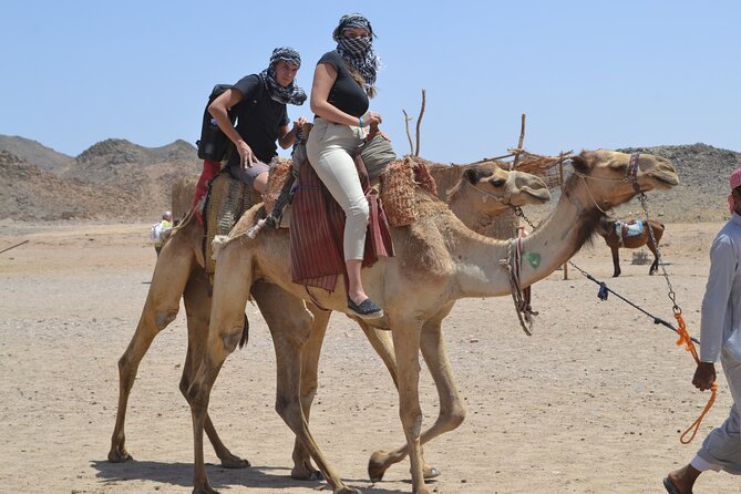 Full Day Safari ATV Quad, Camel Ride & Bedouin Dinner- Hurghada - The Bedouin Village Stop: Camel Ride Plus a Quick Look at Everyday Things