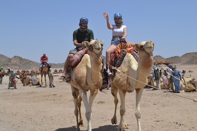 Full Day Safari ATV Quad, Camel Ride & Bedouin Dinner- Hurghada - Comfort, Safety, and the Realities of Desert Roads