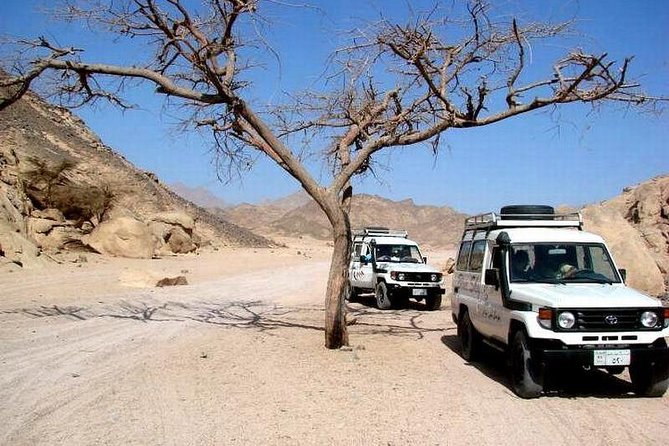 Full-Day Safari Desert Tour in Hurghada by Jeep - Key things I think you’ll care about