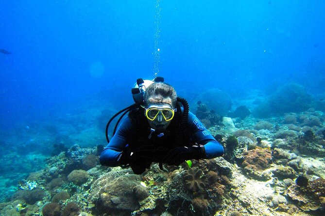 Full day Scuba diving and Snorkeling boat trip from Hurghada - Price and Logistics: What You’re Really Paying (Not Just the $8.40)
