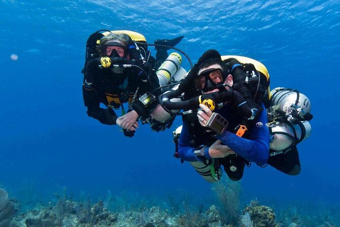 Full-day Scuba Diving Experience for Beginners & Lunch - Sharm El Sheikh - Key Things I’d Plan Around