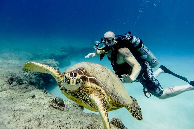 Full-day Scuba Diving Experience for Beginners & Lunch - Sharm El Sheikh - Why Sharm El Sheikh Works for a First Scuba Session