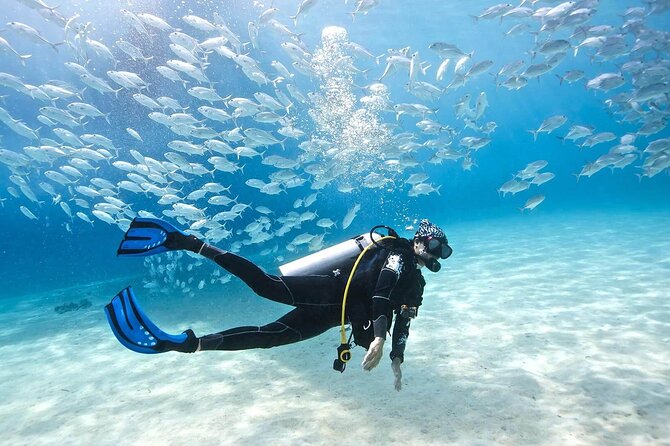 Full-day Scuba Diving Experience for Beginners & Lunch - Sharm El Sheikh - Gear and What’s Included (So You Don’t Overspend)