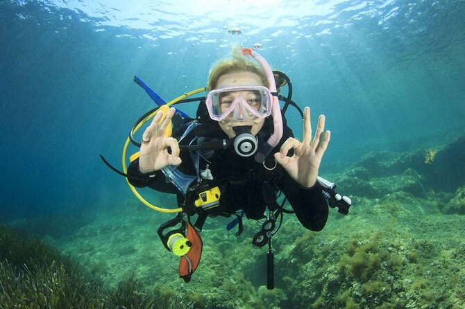 Full-day Scuba Diving Experience for Beginners & Lunch - Sharm El Sheikh - The Schedule: What the Full-Day Format Really Means