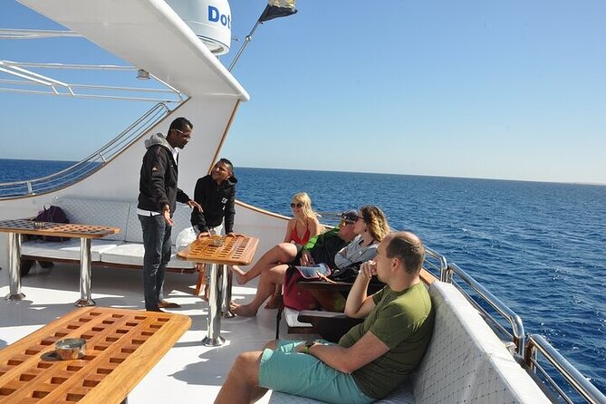 Full Day Snorkeling in Hurghada Dolphin House - Hurghada Dolphin House: What the dolphin encounter is really like