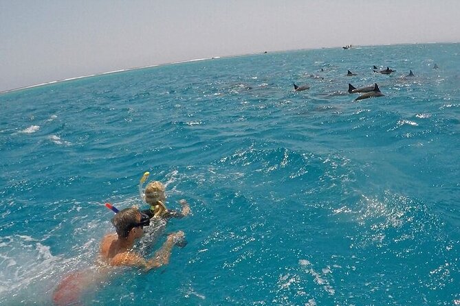 Full Day Snorkeling in Hurghada Dolphin House - Pickup, timing, and the realities of an 8-hour boat day
