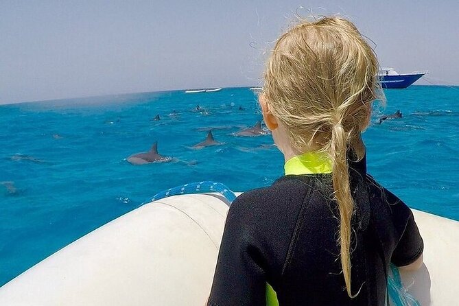 Full Day Snorkeling in Hurghada Dolphin House - Lunch on board: What you’ll actually get (and why it’s not an afterthought)