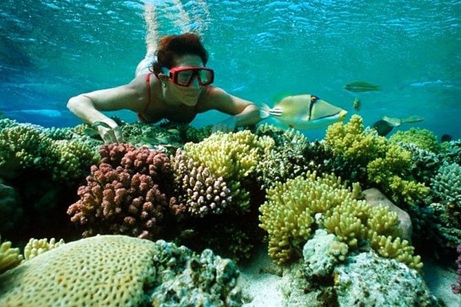 Full Day Snorkeling Trip to the Red Sea in Safaga from Luxor - Key things to know before you go