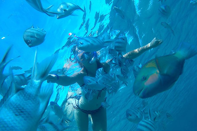 Full-Day Snorkeling with Dolphins in Hurghada with Lunch - Hurghada Dolphin Snorkeling: what this 8-hour day really feels like