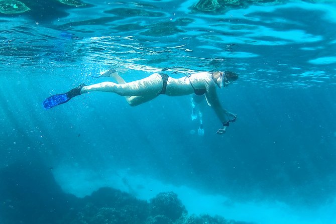 Full-Day Snorkeling with Dolphins in Hurghada with Lunch - Should you book this Hurghada dolphin snorkeling tour?