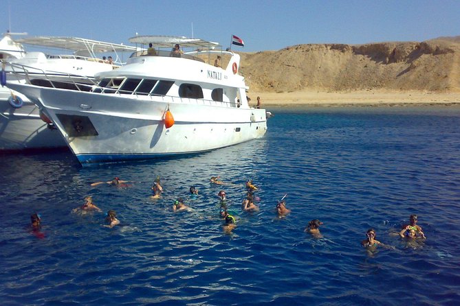 Full Day Tiran Island Snorkeling Sea trip & Lunch With Transfer - Sharm Elsheikh - Who Should Book This (and Who Should Skip It)