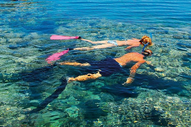 Full Day Tiran Island Snorkeling Sea trip & Lunch With Transfer - Sharm Elsheikh - Lunch on Board: What You Actually Get Between Snorkels