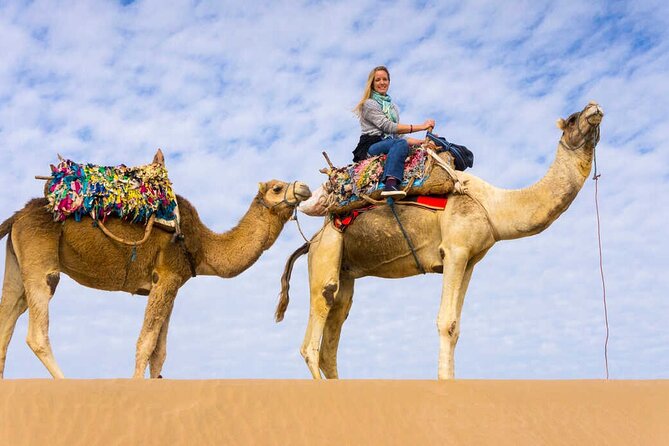 Full day tour Giza Pyramids Sphinx &Lunch and Shopping tour - Shopping Stops: Papyrus, Beduin Aromatherapy, Cotton, Bazaar Time