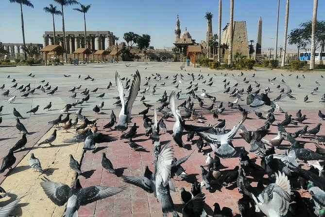 full day Tour to east and west bank of Luxor - East and West Banks in One Packed Day