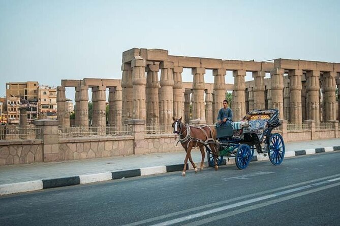Full Day Tour to East and West Banks of Luxor (Private) - The Egyptologist guide: the difference between seeing and understanding