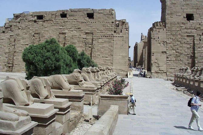 Full-Day Tour to Luxor by Bus: Valley of the Kings from Hurghada - The logistics you’ll feel: 4:30 am and a long day