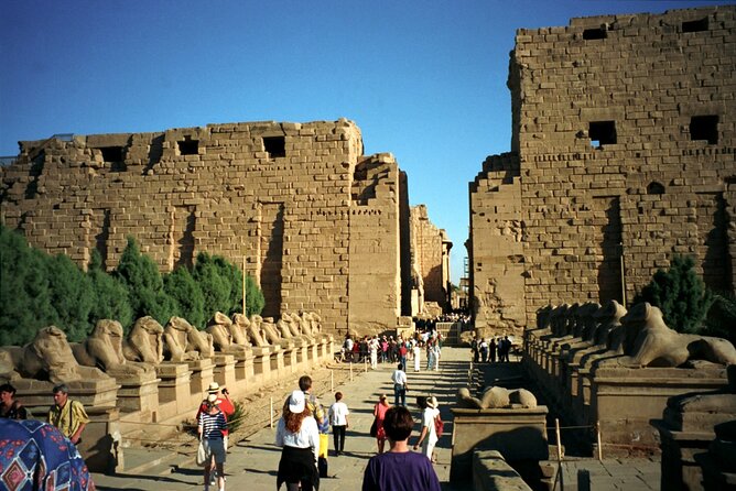 Full Day Tour to Luxor from Cairo by Plane with King Tut Tomb - What you’re really paying for: $530 value breakdown