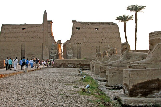 Full Day Tour to Luxor from Cairo by Plane with King Tut Tomb - Who this Luxor-from-Cairo day trip is best for