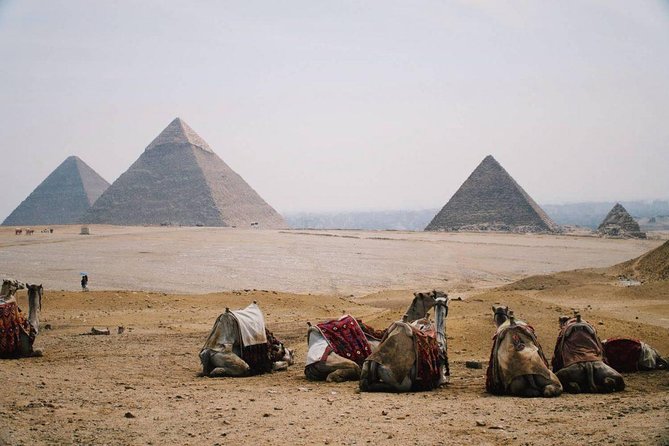 Full Day Tour to Pyramids of Giza, Saqqara Step Pyramids & Sound and Light Show - Morning at Giza: Cheops, Chephren, and the Sphinx