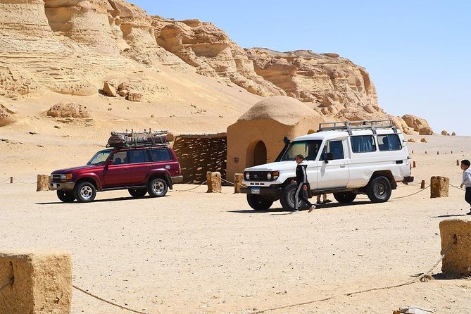 Full Day Trip to El-Fayoum Oasis & Wadi El-Hitan from Cairo - Lunch, bottled water, and the real value of what’s included