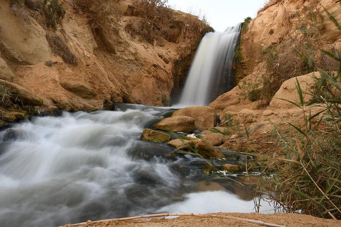 Full Day Trip to El-Fayoum Oasis & Wadi El-Hitan from Cairo - Guides on the ground: how much they shape your day