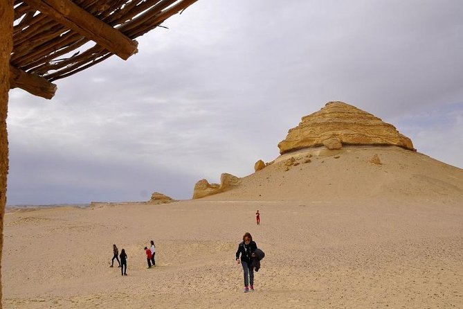 Full Day Trip to El-Fayoum Oasis & Wadi El-Hitan from Cairo - Safety and operator questions to ask before you commit
