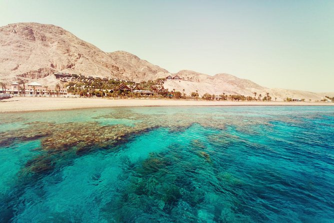 Full Relaxing Day To The Red Sea From Cairo Or Giza Hotel - Lunch on the beach: what’s usually served, and how to make it work