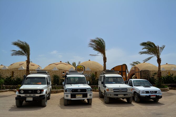Fun Safari ATV, Buggy Car and Dinner, Show-Hurghada - The oriental show and belly dancer finale