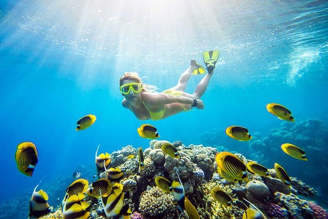 Giftun Hula Hula Island Sea Trip with lunch&Water Sports HURGHADA - Hula Hula Island: about 2 hours on white sand