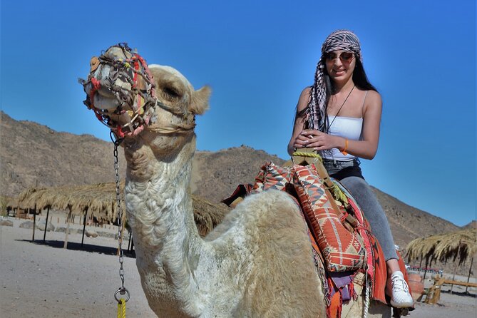 Giftun Island VIP Sea Trip Lunch on Bord and Transfer - Hurghada - Giftun Island and Hula Hula: What You’re Touring Off Hurghada