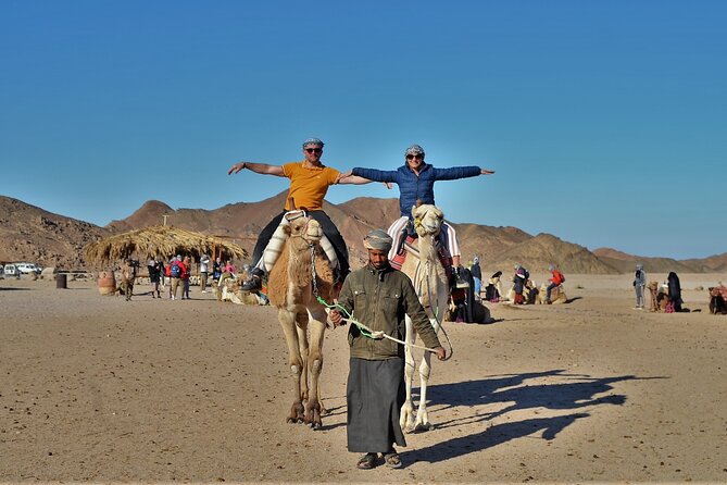 Giftun Island VIP Sea Trip Lunch on Bord and Transfer - Hurghada - Hula Hula Island (Up to 2 Hours): Beach Time That Doesn’t Drag